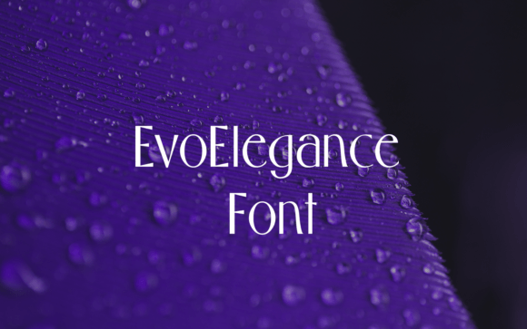 Evo Elegance Font for Modern Web Design