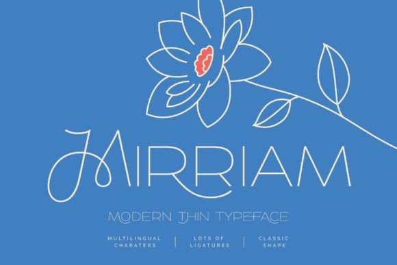Mirriam Font: Modern Thin Sans Serif for Web Design